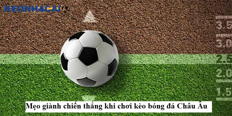 Cách đánh kèo châu âu hiệu quả là quản lý tài chính 
